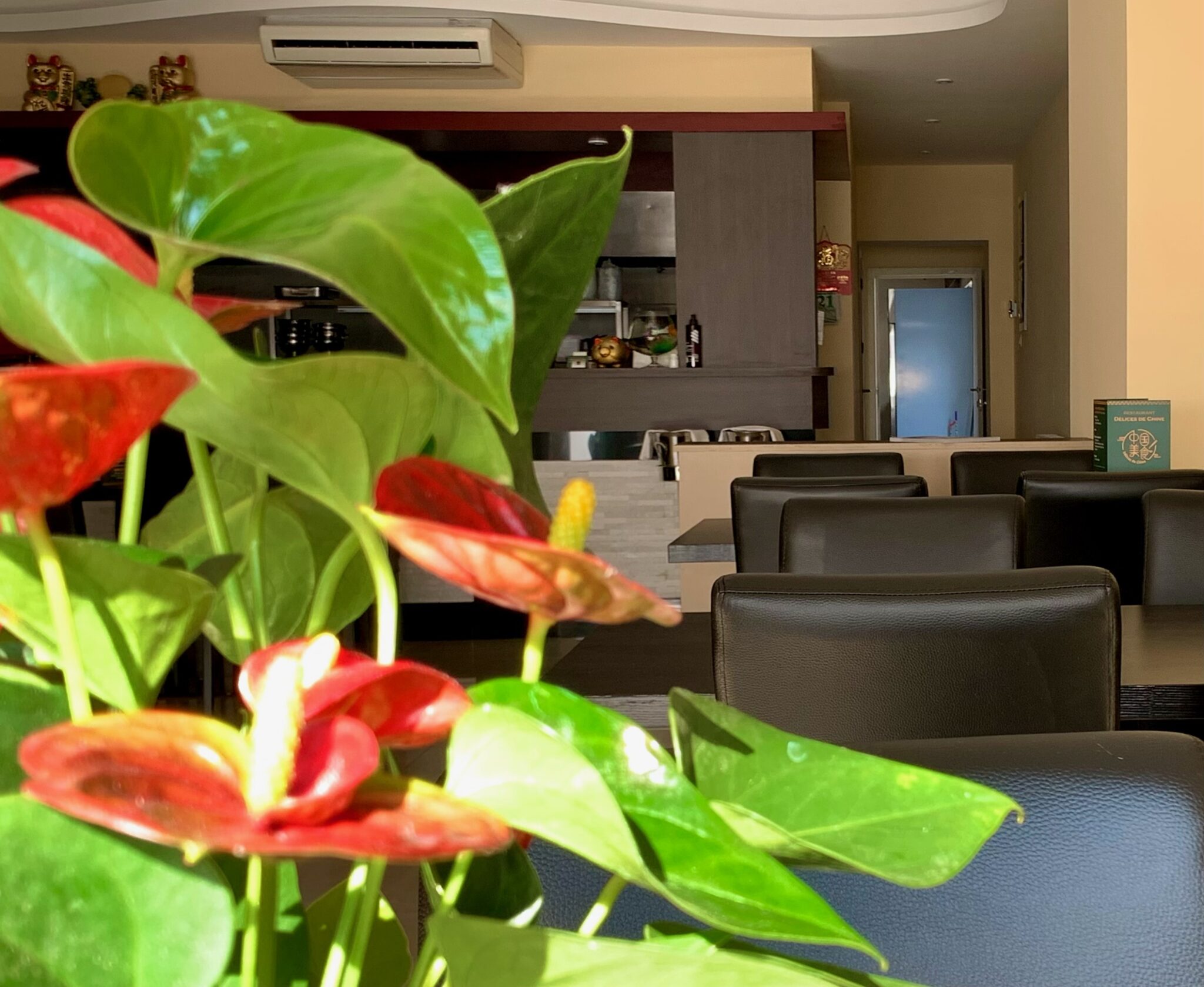 Delices de Chine Restaurant chinois à Courcelles